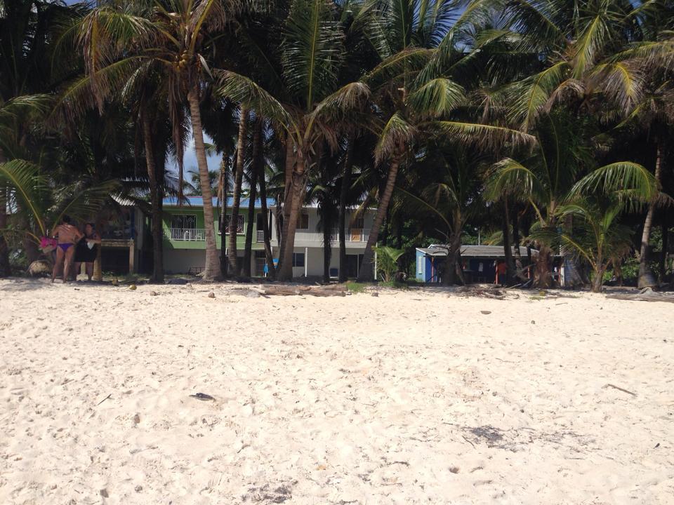 Zippy'S Sea View Apartments San Andrés Habitación foto