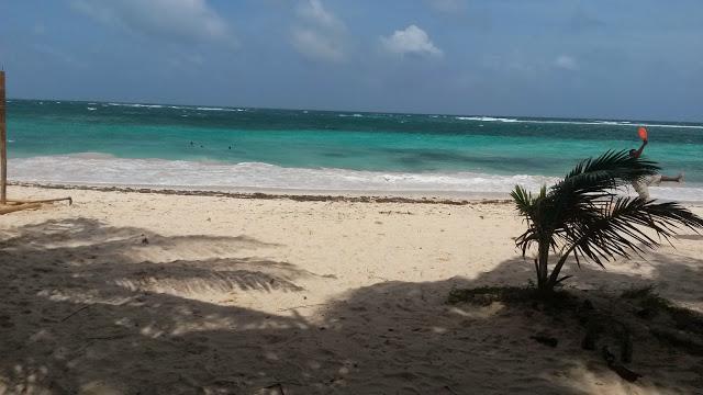 Zippy'S Sea View Apartments San Andrés Exterior foto